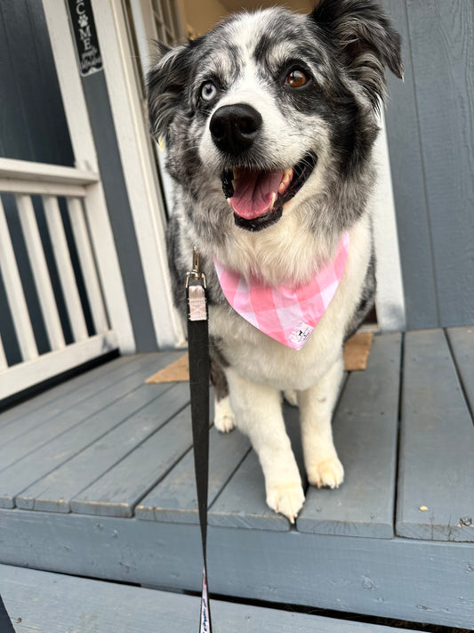 Pink check dog bandana