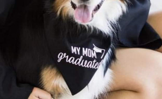 Graduation Dog Bandana